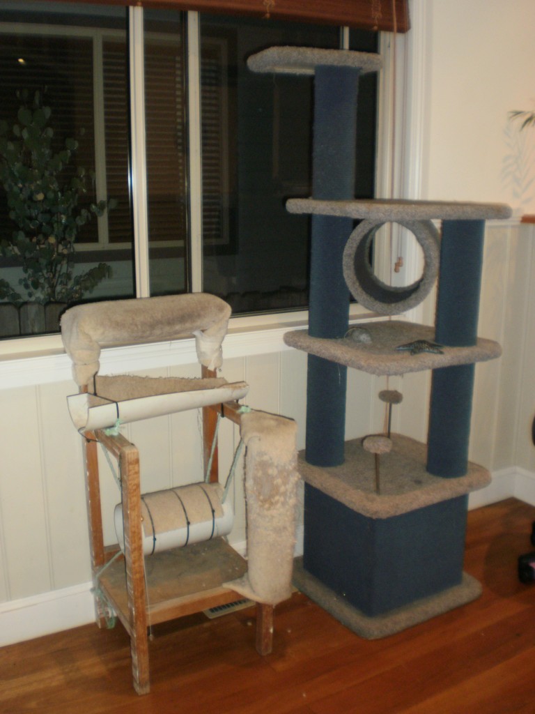 Cat tree - with assists